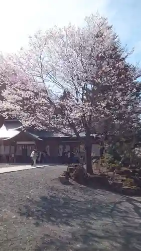 諏訪大社(長野県)