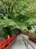 足利織姫神社(栃木県)