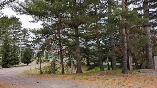 池田神社の自然