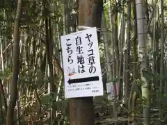 稲荷神社の自然