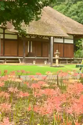 横浜　西方寺(神奈川県)