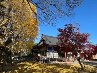 白子神社の{uncategorized: "未分類", other: "その他", undefined: "問題あり", building: "その他建物", grave: "お墓", sacred_gate: "鳥居", guardian: "狛犬", statue: "像", buddha: "仏像", history: "歴史", nature: "自然", garden: "庭園", animal: "動物", pagoda: "塔", temizu: "手水舎", mountain_gate: "山門・神門", sanctuary: "本殿・本堂", subordinate: "末社・摂社", art: "芸術", scenery: "景色", jizo: "地蔵", ema: "絵馬", goshuin: "御朱印", omikuji: "おみくじ", items: "授与品その他", amulet: "お守り", goshuincho: "御朱印帳", eats: "食事", festival: "お祭り", votive_dance: "神楽", shichigosan: "七五三参", wedding: "結婚式", experience: "体験その他", initially: "初詣", around: "周辺", anti_infection: "感染症対策"}