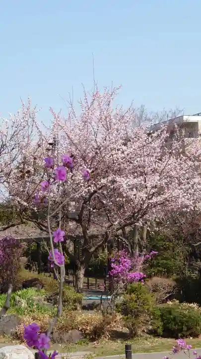 相馬神社の自然