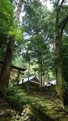 安波賀春日神社(福井県)