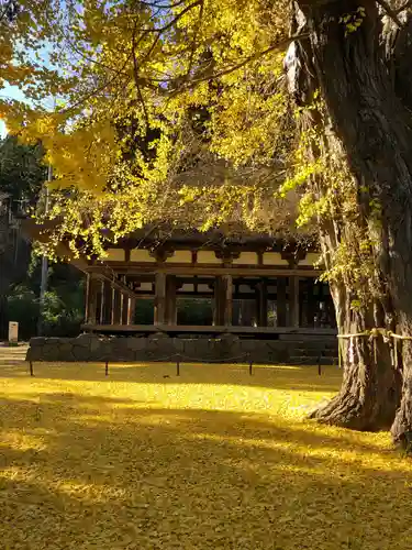 新宮熊野神社の本殿