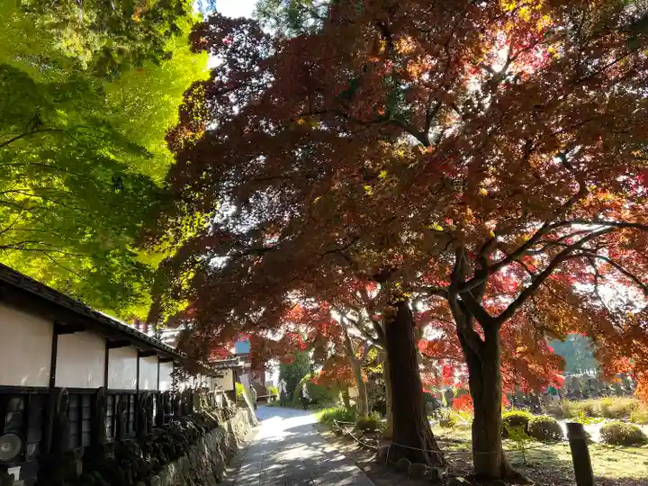 長圓寺(長野県)