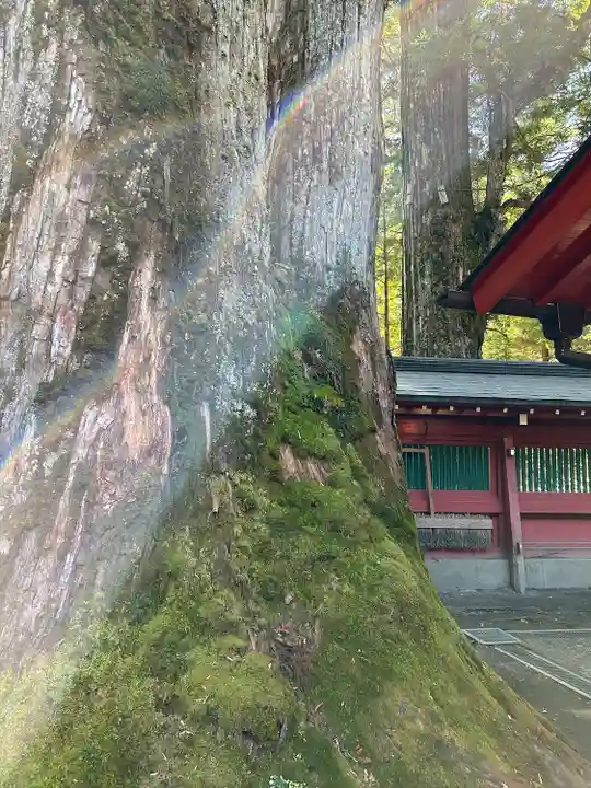 日光二荒山神社(栃木県)