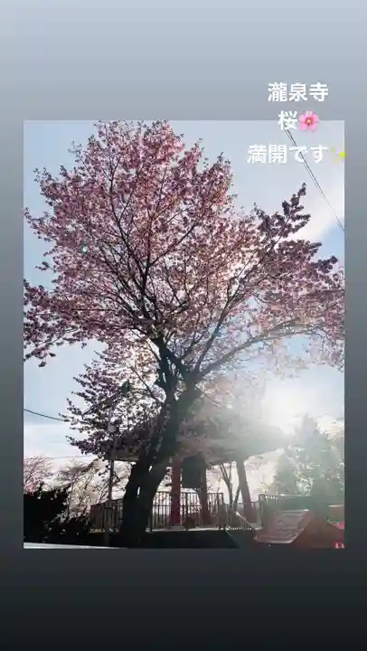 成田山瀧泉寺の自然