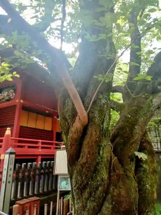 金王八幡宮(東京都)