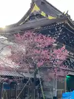 西新井大師総持寺の{uncategorized: "未分類", other: "その他", undefined: "問題あり", building: "その他建物", grave: "お墓", sacred_gate: "鳥居", guardian: "狛犬", statue: "像", buddha: "仏像", history: "歴史", nature: "自然", garden: "庭園", animal: "動物", pagoda: "塔", temizu: "手水舎", mountain_gate: "山門・神門", sanctuary: "本殿・本堂", subordinate: "末社・摂社", art: "芸術", scenery: "景色", jizo: "地蔵", ema: "絵馬", goshuin: "御朱印", omikuji: "おみくじ", items: "授与品その他", amulet: "お守り", goshuincho: "御朱印帳", eats: "食事", festival: "お祭り", votive_dance: "神楽", shichigosan: "七五三参", wedding: "結婚式", experience: "体験その他", initially: "初詣", around: "周辺", anti_infection: "感染症対策"}