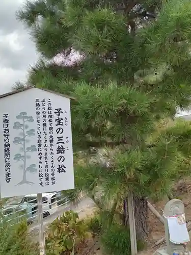 出釋迦寺(香川県)