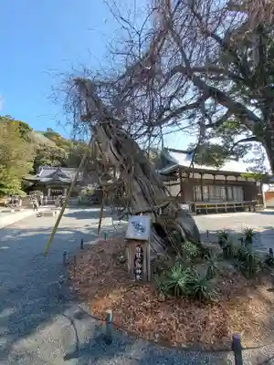 伊古奈比咩命神社(静岡県)