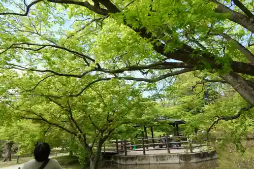 半木神社（賀茂別雷神社境外末社）(京都府)