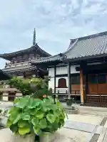 妙徳寺(福岡県)