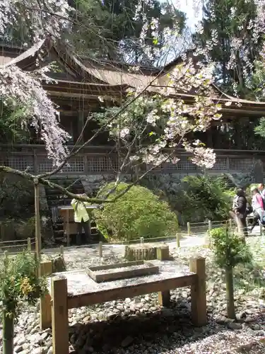 吉野水分神社（吉野町）の自然