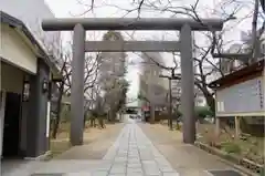 亀戸 香取神社の鳥居