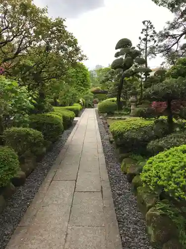 蓮光寺の庭園