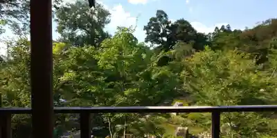 伏見稲荷大社(京都府)