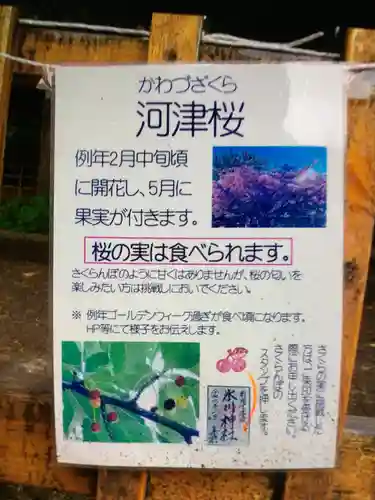 新宿下落合氷川神社(東京都)