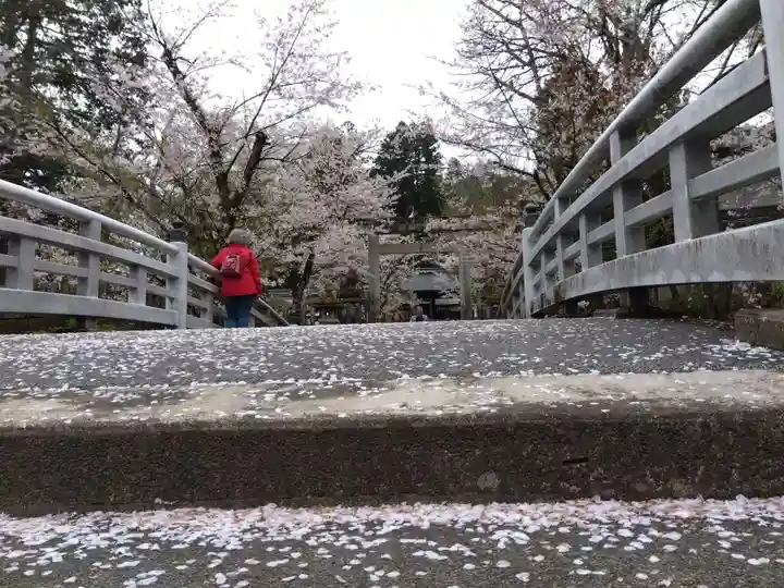 飛驒護國神社(岐阜県)