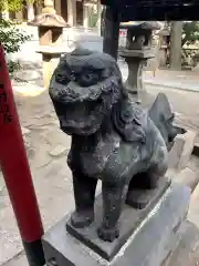 富岡八幡宮の狛犬