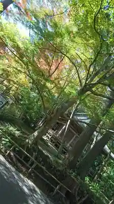 中尊寺(岩手県)