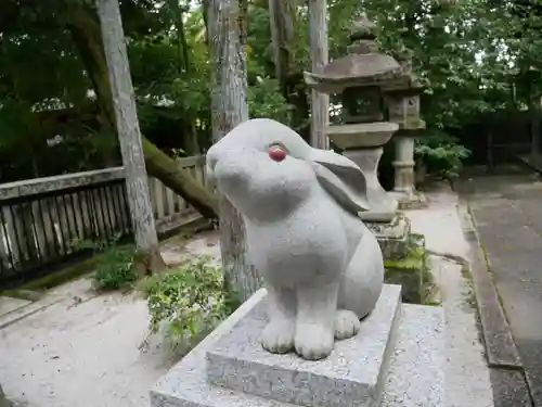 岡崎神社の狛犬