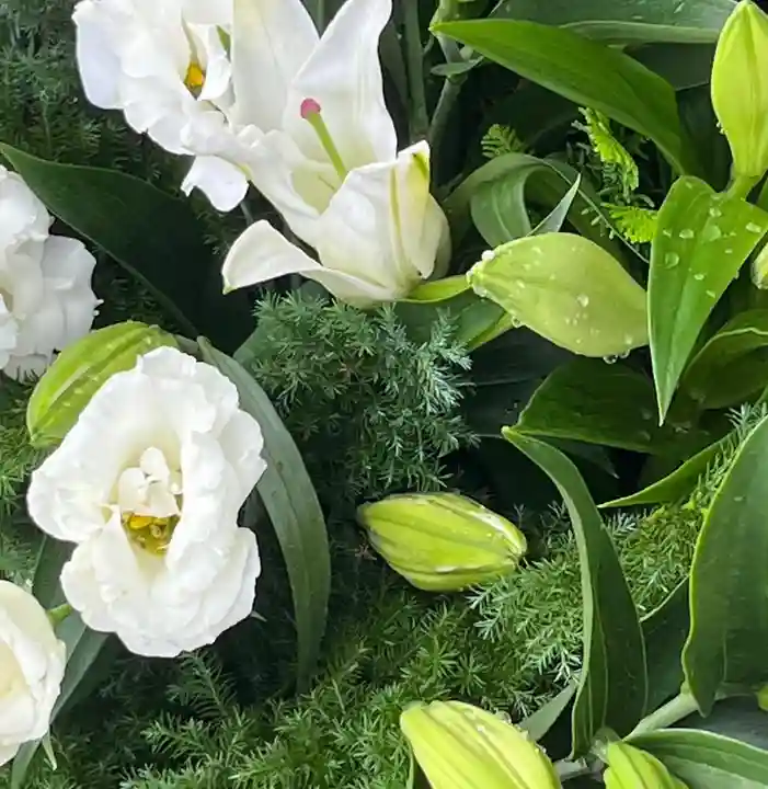 上尾御嶽神社の手水舎