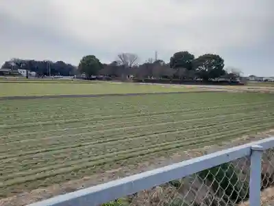 観音堂(邑楽町藤川)(群馬県)