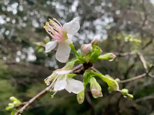 普門寺(切り絵御朱印発祥の寺)(愛知県)