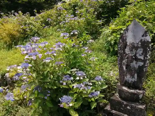 三光寺の自然