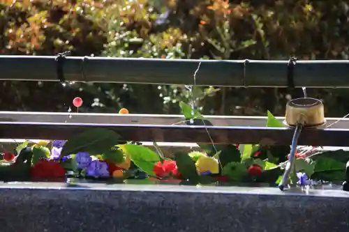 豊景神社の手水舎