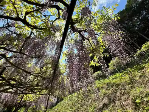 天台宗 五大山 白毫寺(兵庫県)