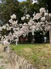 住吉神社の自然