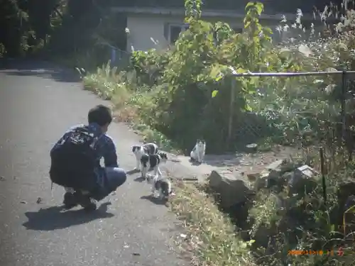 美與利大明神(宮城県)