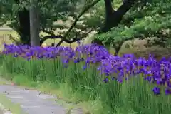 高司神社〜むすびの神の鎮まる社〜の自然