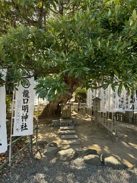 龍口明神社(神奈川県)