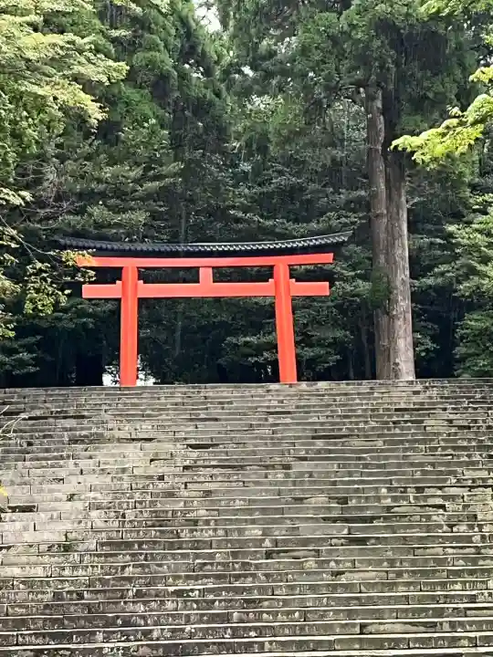 霧島神宮(鹿児島県)