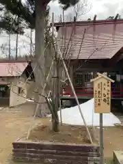 仁木神社の自然