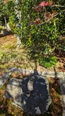 法金剛院(京都府)