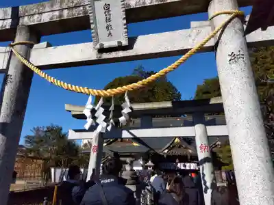 白蛇辨財天(栃木県)