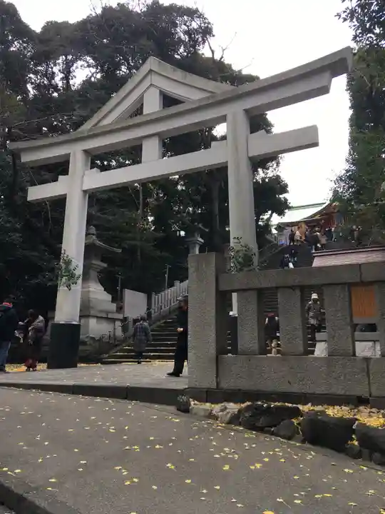 日枝神社の鳥居