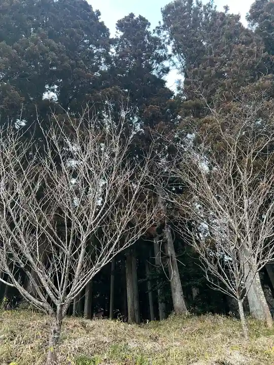 大宮温泉神社(栃木県)