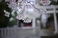 今泉神社(神奈川県)