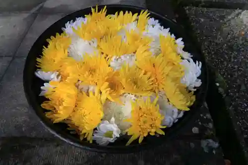 土津神社｜こどもと出世の神さまの手水舎