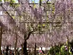 曼陀羅寺の庭園