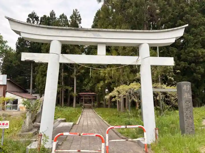 白藤神社の{uncategorized: "未分類", other: "その他", undefined: "問題あり", building: "その他建物", grave: "お墓", sacred_gate: "鳥居", guardian: "狛犬", statue: "像", buddha: "仏像", history: "歴史", nature: "自然", garden: "庭園", animal: "動物", pagoda: "塔", temizu: "手水舎", mountain_gate: "山門・神門", sanctuary: "本殿・本堂", subordinate: "末社・摂社", art: "芸術", scenery: "景色", jizo: "地蔵", ema: "絵馬", goshuin: "御朱印", omikuji: "おみくじ", items: "授与品その他", amulet: "お守り", goshuincho: "御朱印帳", eats: "食事", festival: "お祭り", votive_dance: "神楽", shichigosan: "七五三参", wedding: "結婚式", experience: "体験その他", initially: "初詣", around: "周辺", anti_infection: "感染症対策"}