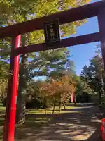 多賀神社の鳥居