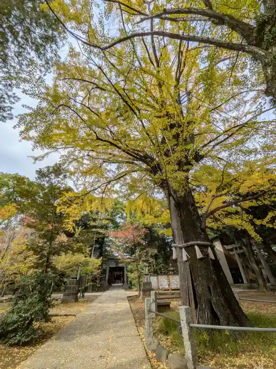 赤坂氷川神社(東京都)