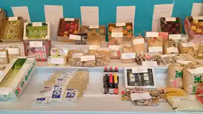 明治神宮(東京都)